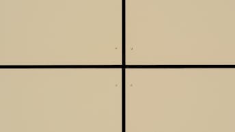 20210609 RW-RP PHO 01584