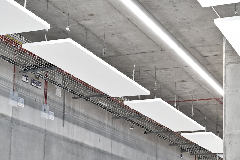 20230619 RW-RF PHO 9491