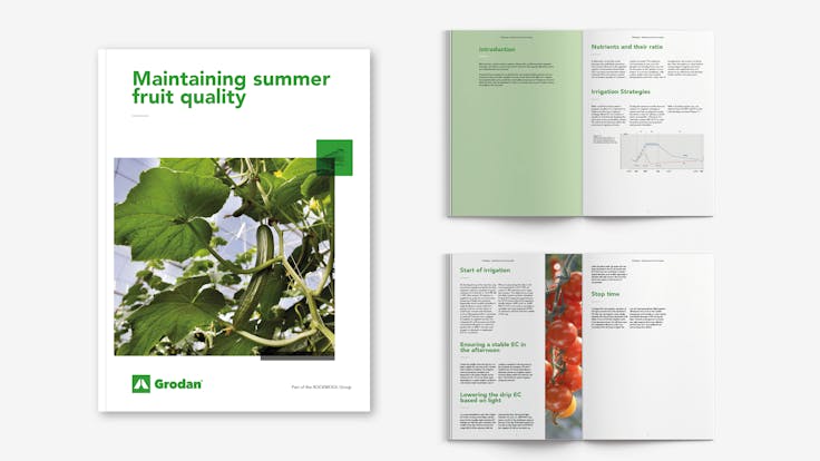 Grodan, visual, whitepaper, TTL, campaign