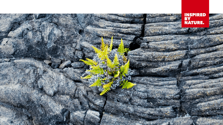 Properties in every ROCKWOOL insulation product by nature.