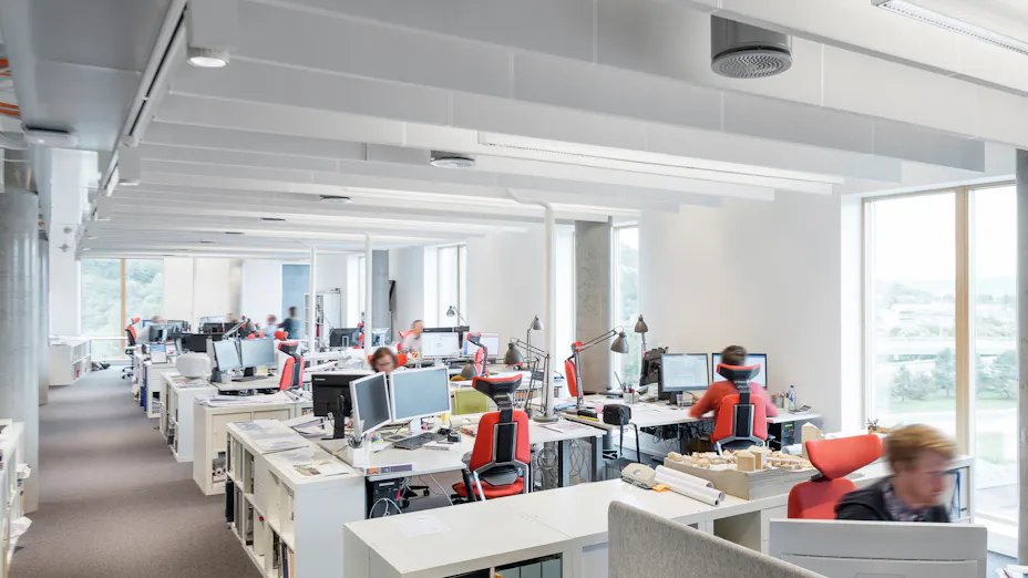 Rockfon Multiflex Baffle installed in open office environment.