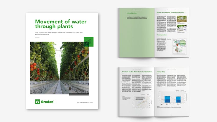 visual, whitepaper, TTL campaign, EC