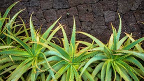 20171230 GMC PHO 307