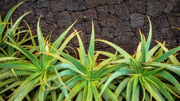 20171230 GMC PHO 307