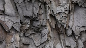 20190108 GMC PHO 1062