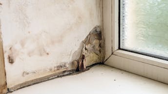 20190708 RWNA PHO 963