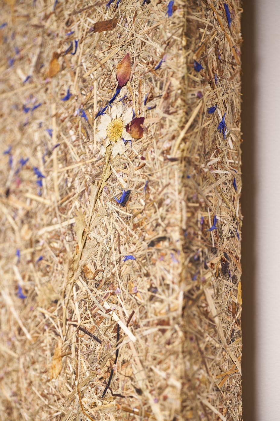 20220826_RW-RF_PHO_008719