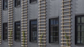 20250521 RW-RP PHO 3461