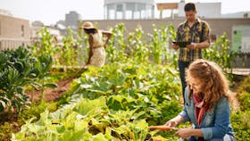 20180705 GMC PHO 958