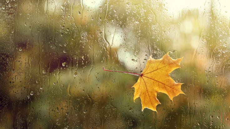 humidity campaign picture 1