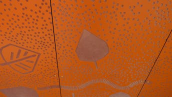 20190717 RW-RP PHO 00763