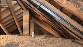 20230306 RW-LAT PHO FR 1667