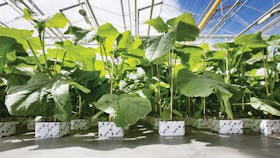 20181022 RW-GR PHO 8