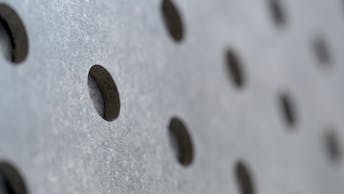 20230306 RW-RP PHO 2362