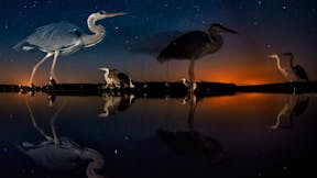 20210107 RW-CEE PHO 531