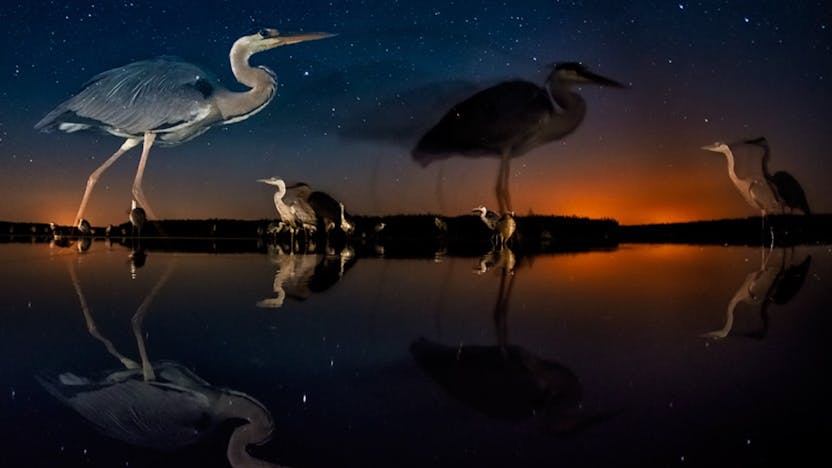 20210107 RW-CEE PHO 531