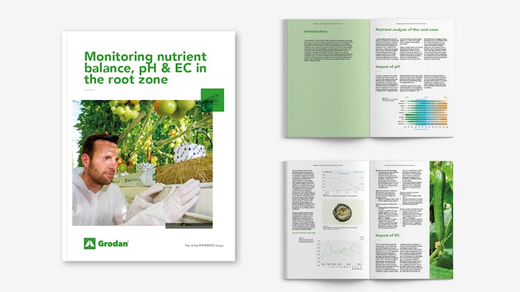 visual, whitepaper, TTL campaign, EC