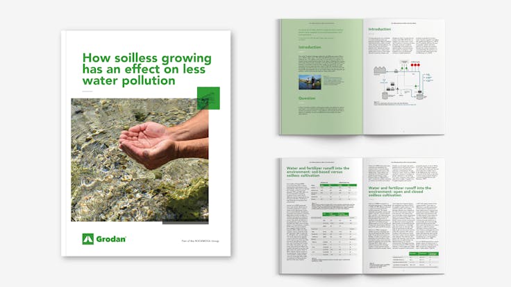 Visual, report, sustainability