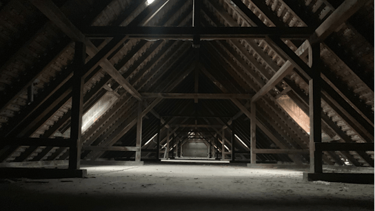 20190815 RW-NC PHO 34