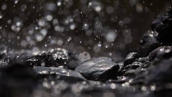 20221017 ByNature PHO 18