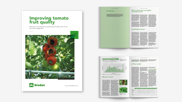 visual, whitepaper, TTL, EC