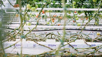 20180124 GMC PHO 437