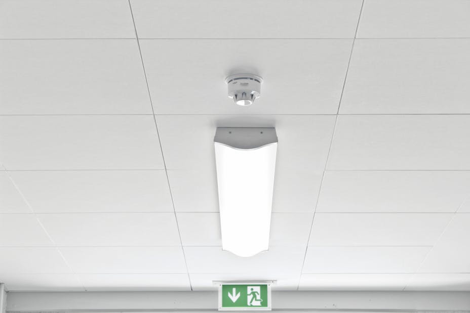 20170503_RW-RF_PHO_005923