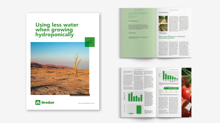 Visual, report, sustainability