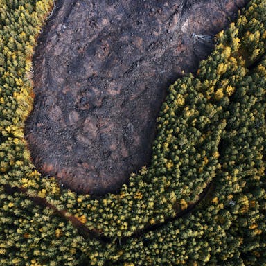 ROCKWOOL By Nature Properties CIRCULAR, additional images