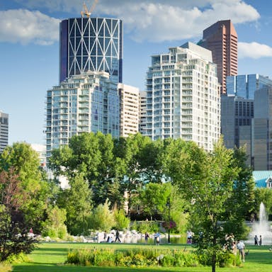 RockWorld imagery, The big picture, buildings, greenery, park, trees, city