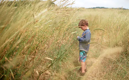 5 Porad Na Światowy Dzień Środowiska - Zadbaj o Naturę
