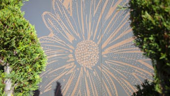 20190625 RW-RP PHO 00560