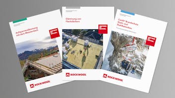 20250109 RW-CWE ILLUS 595