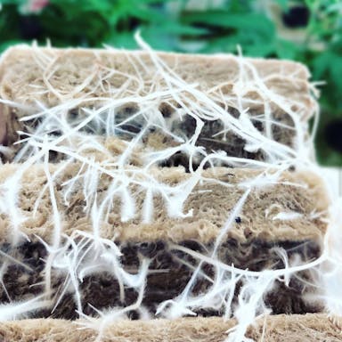 Medicinal crops whitepaper