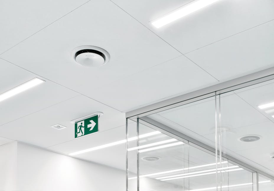 20230524 RW-RF PHO 9454