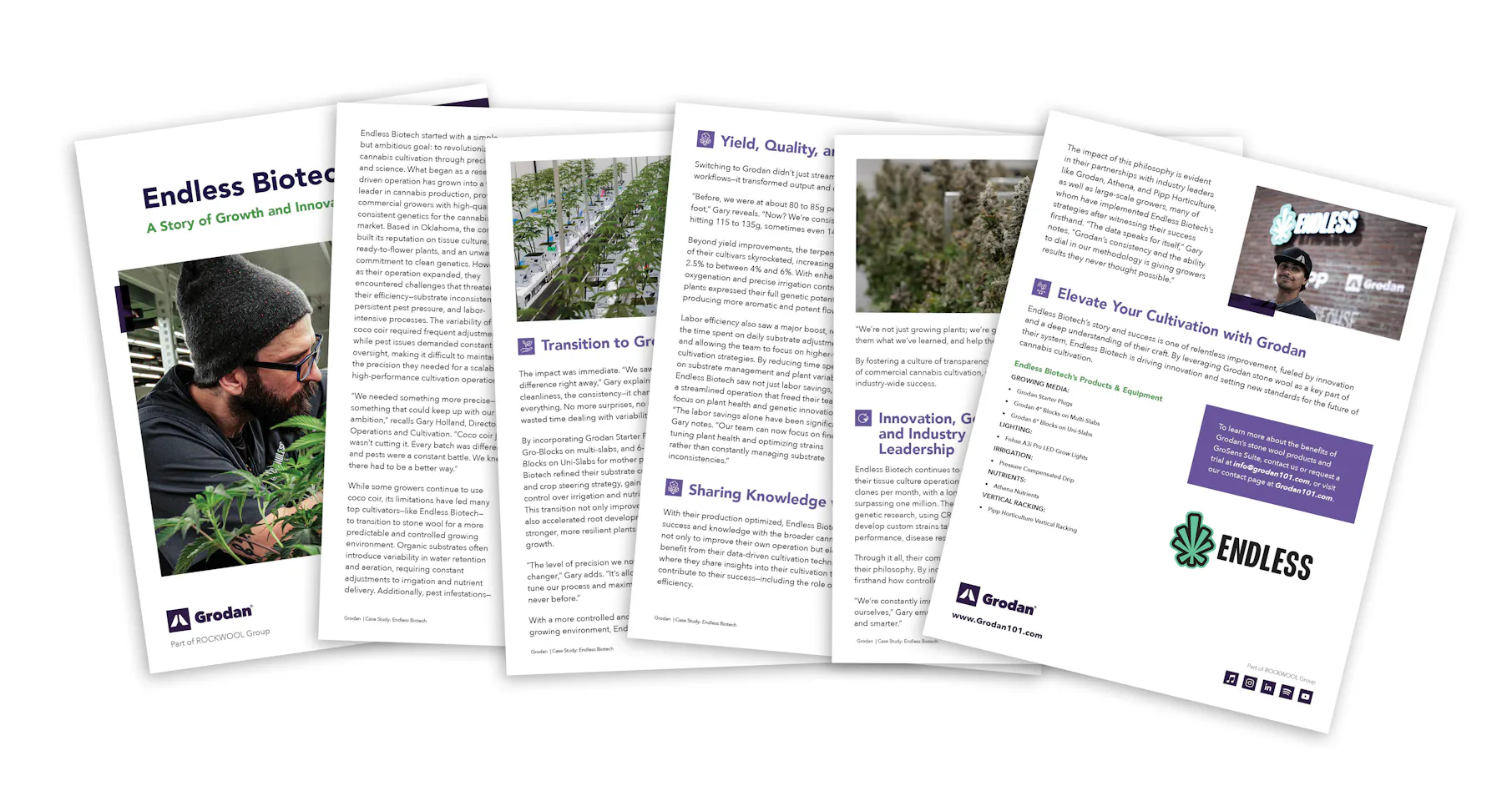 Endless Biotech Case Study