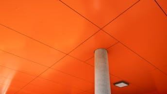 20240819 RW-RP PHO 2993