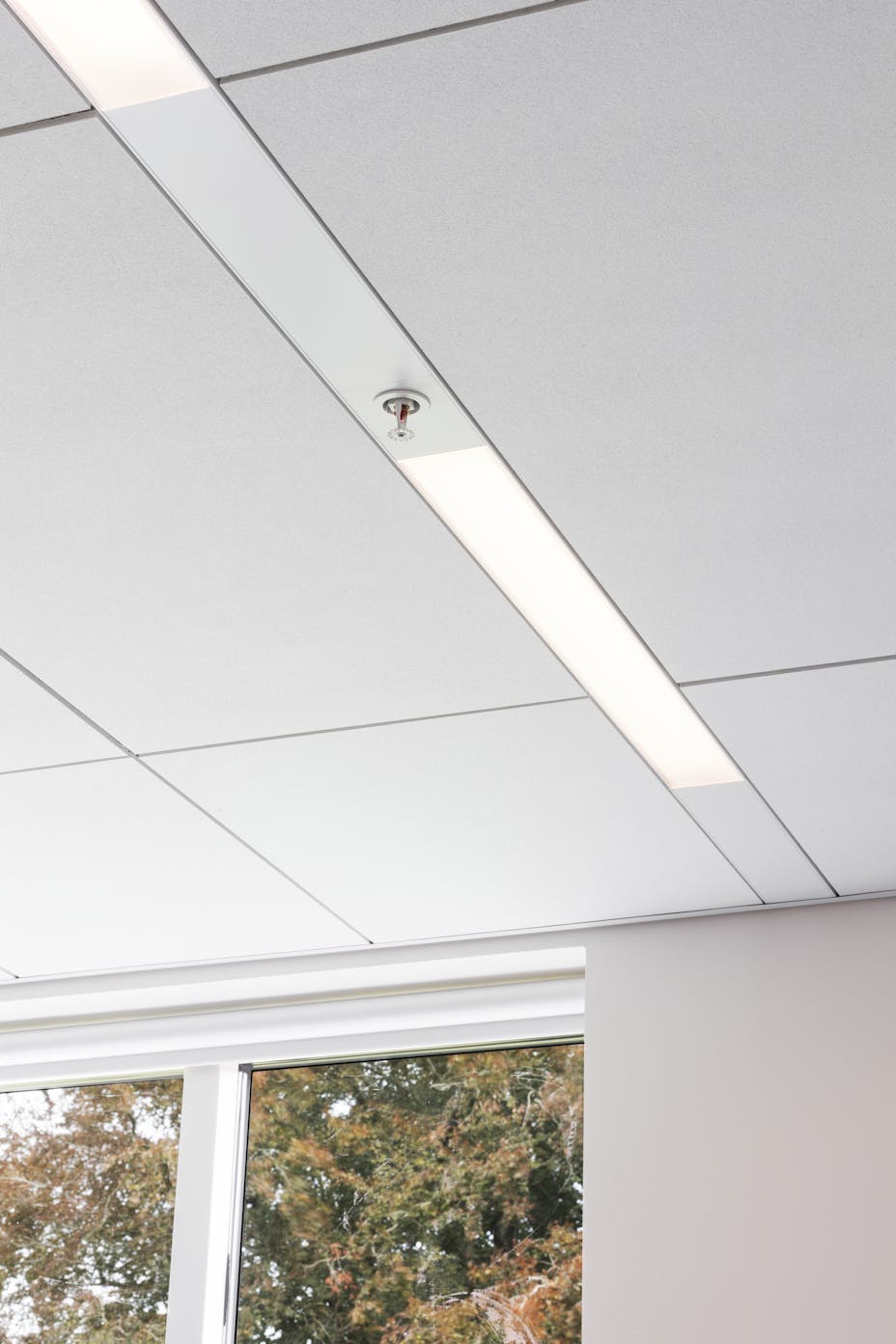 20200923_RW-RF_PHO_007031