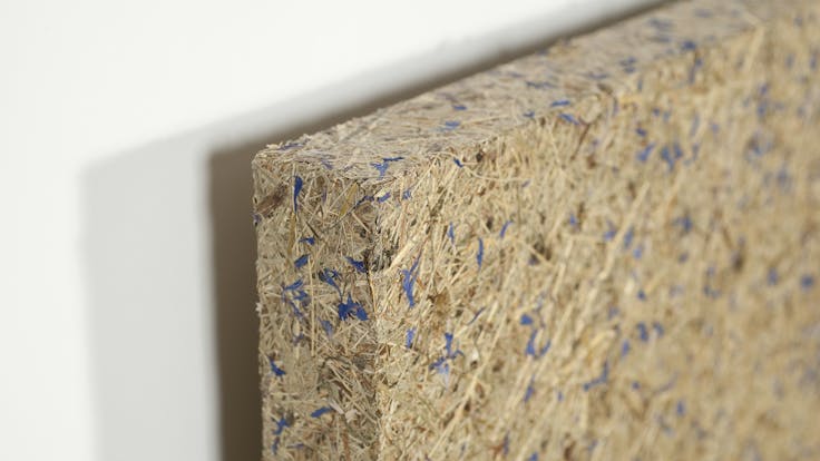 Rockfon Senses Close up - Bloom