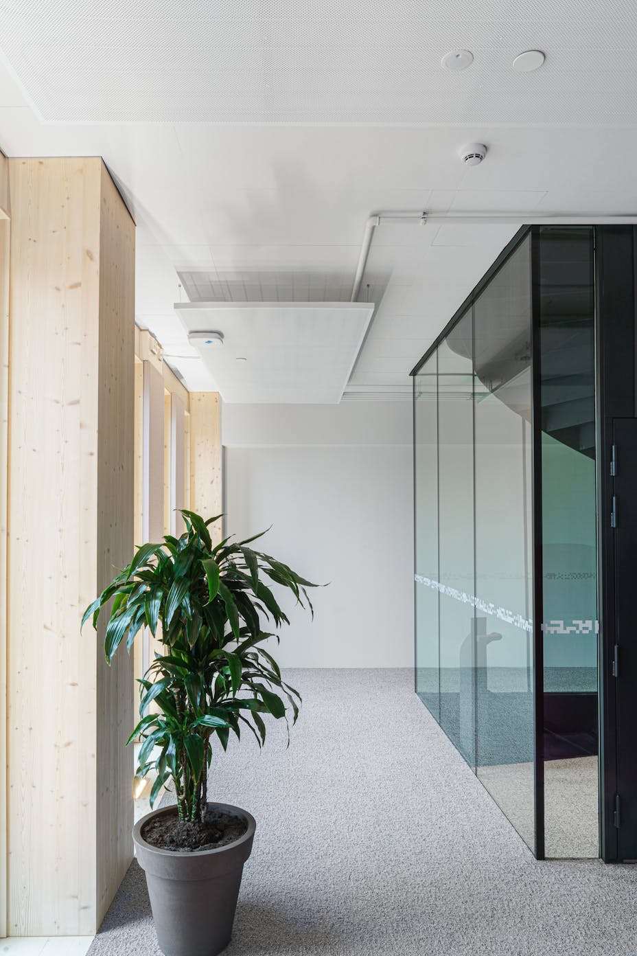 20210429 RW-RF PHO 7853