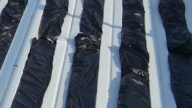 20180404_RW-CWE-BNL_PROD31