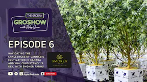 The Grodan GroShow Podcast: Episode #6 Cover Photo