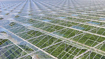 Grodan greenhouse roof
