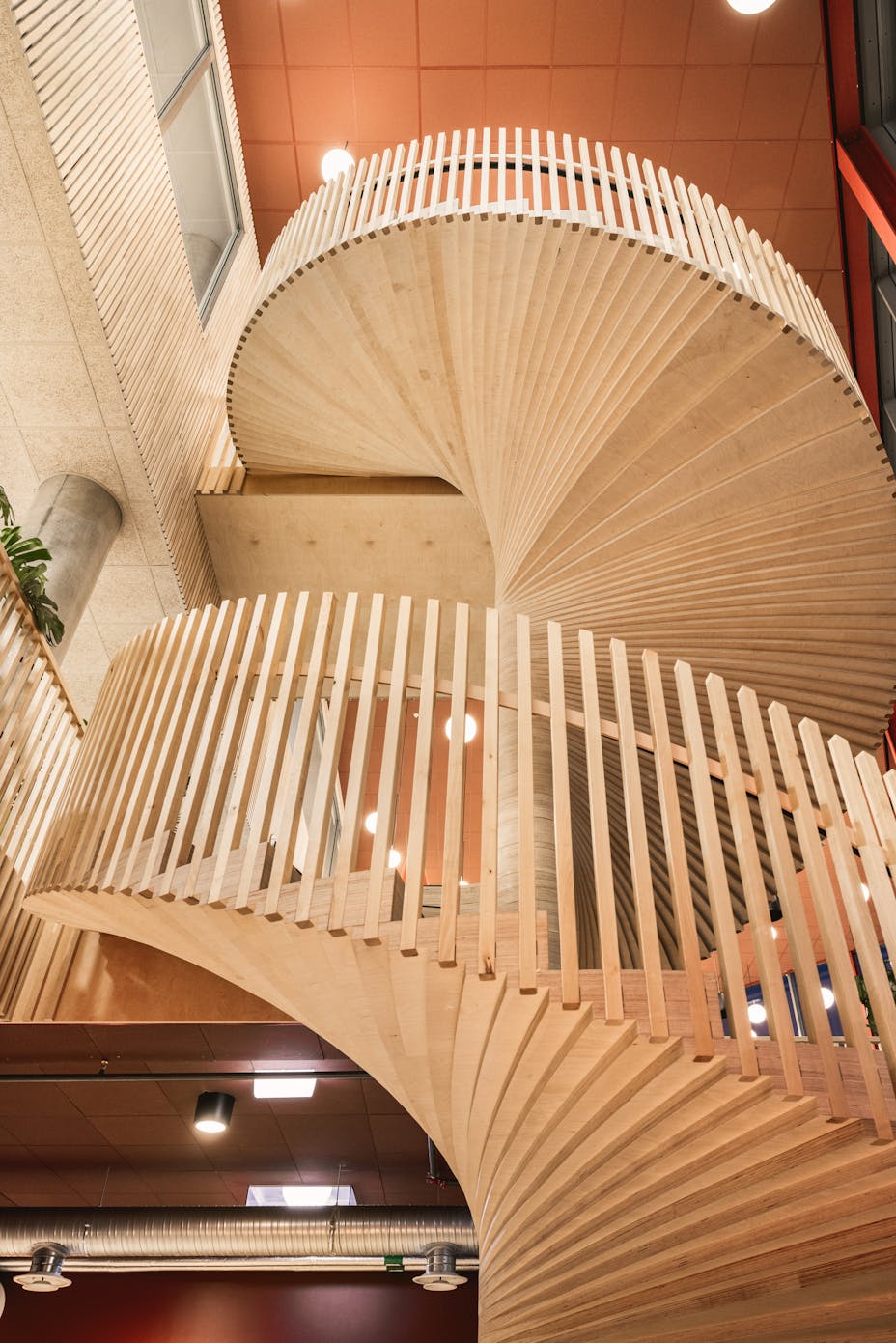 20240221 RW-RF 10196