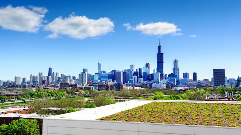 20190726 RWNA PHO 797