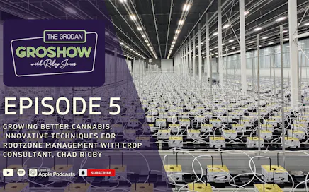 Growing Better Cannabis: Innovative Techniques for Rootzone Management with Crop Consultant, Chad Rigby