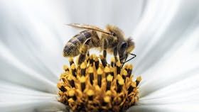 20180309 RW-CWE-D PHO 161