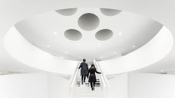 Rockfon Mono Architectural Selection-37