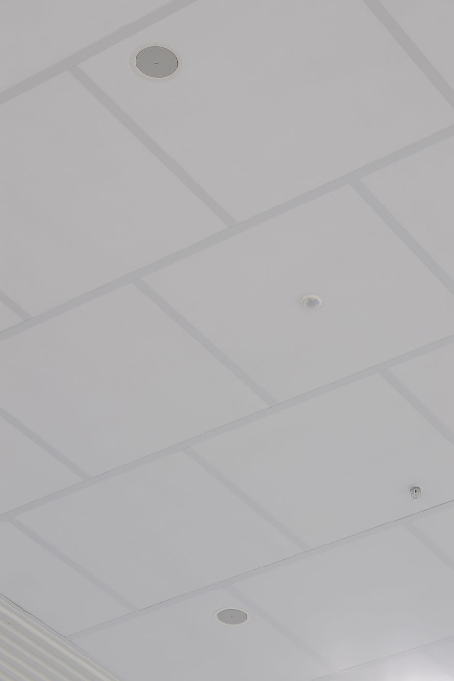 20161013_RW-RF_PHO_005697