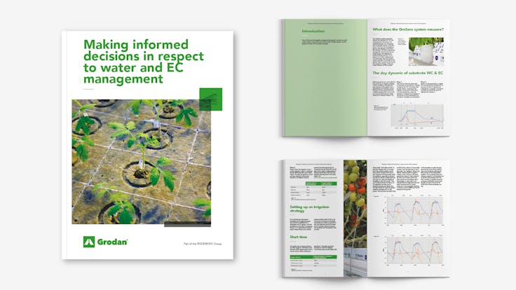 visual, whitepaper, TTL campaign, EC